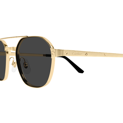Santos de Cartier Aviator Metal Polarized Sunglasses