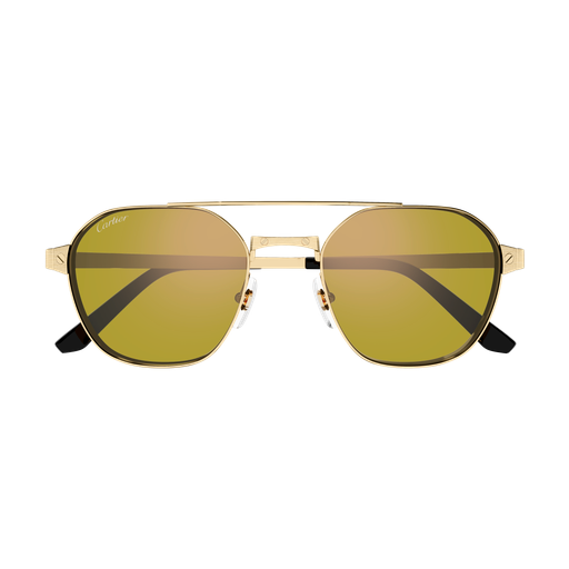 Santos de Cartier Aviator Metal Polarized Sunglasses
