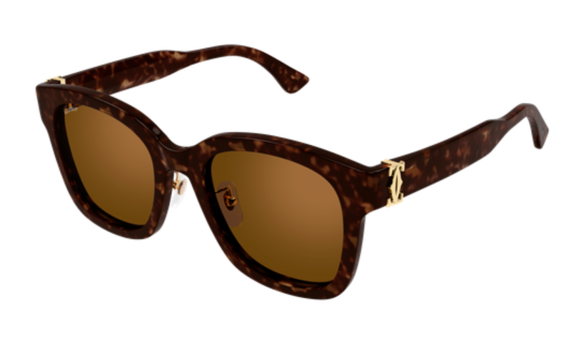Signature C de Cartier Square Acetate Sunglasses