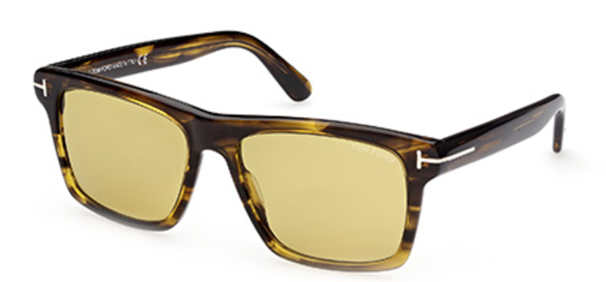 Tom Ford BUCKLEY Plastic Sunglasses
