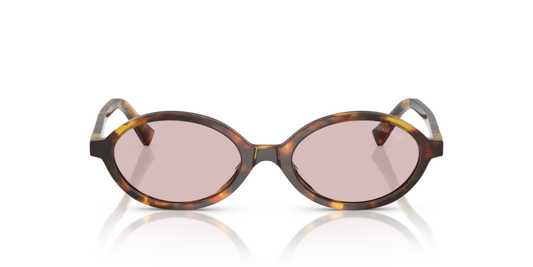 MIU MIU Oval Acetate Sunglasses