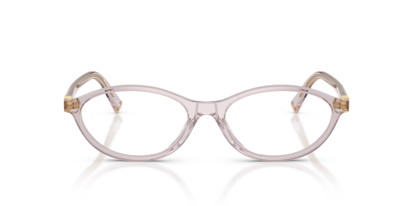 MIU MIU Oval  Acetate Eyeglasses