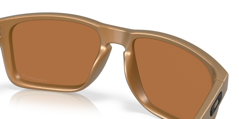 Oakley Holbrook xl Polarized Sunglasses
