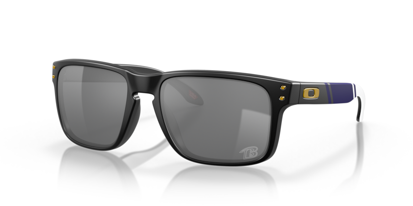 Oakley Holbrook Polarized Sunglasses