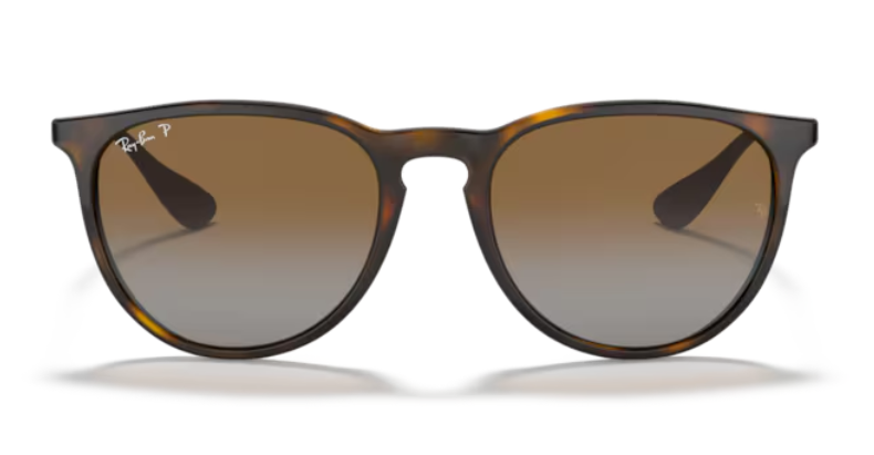 Ray Ban Erika Polarized Sunglasses