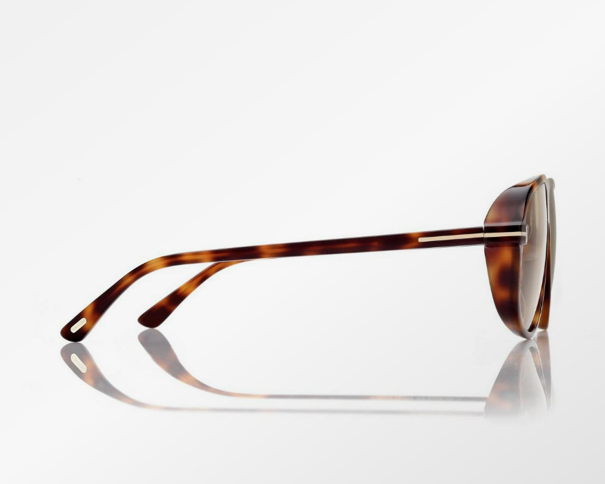 Tom Ford Guillaume Sunglasses