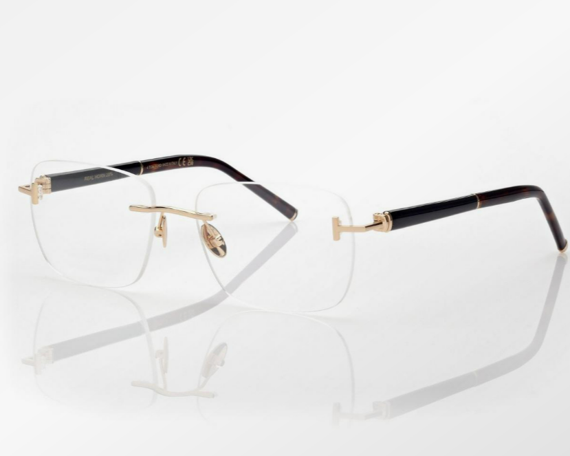 Tom Ford Horn and Titanium Rectangular