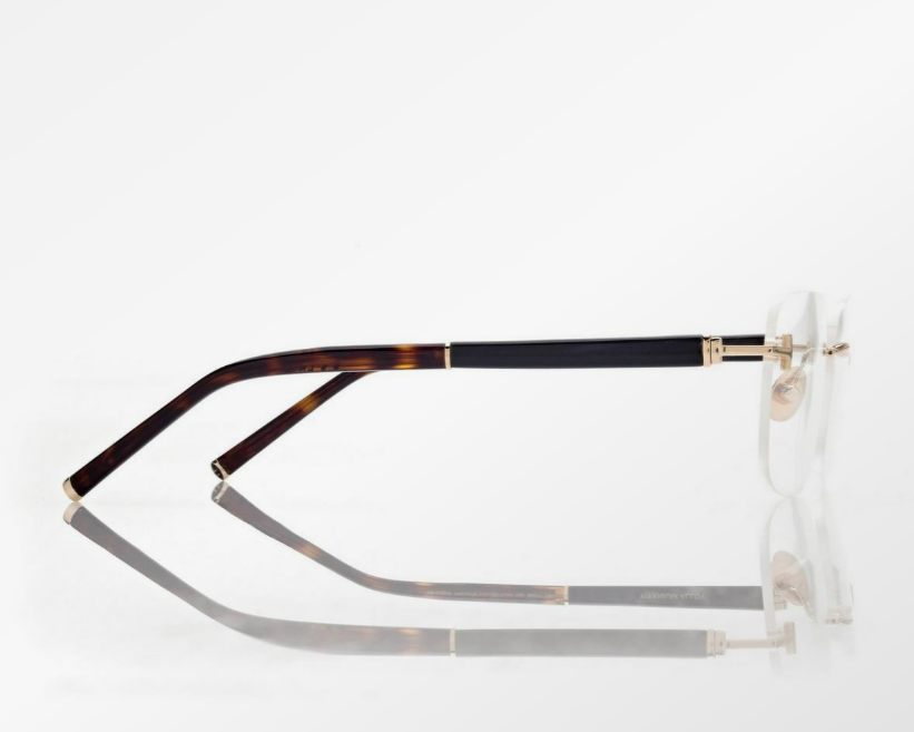 Tom Ford Horn and Titanium Rectangular