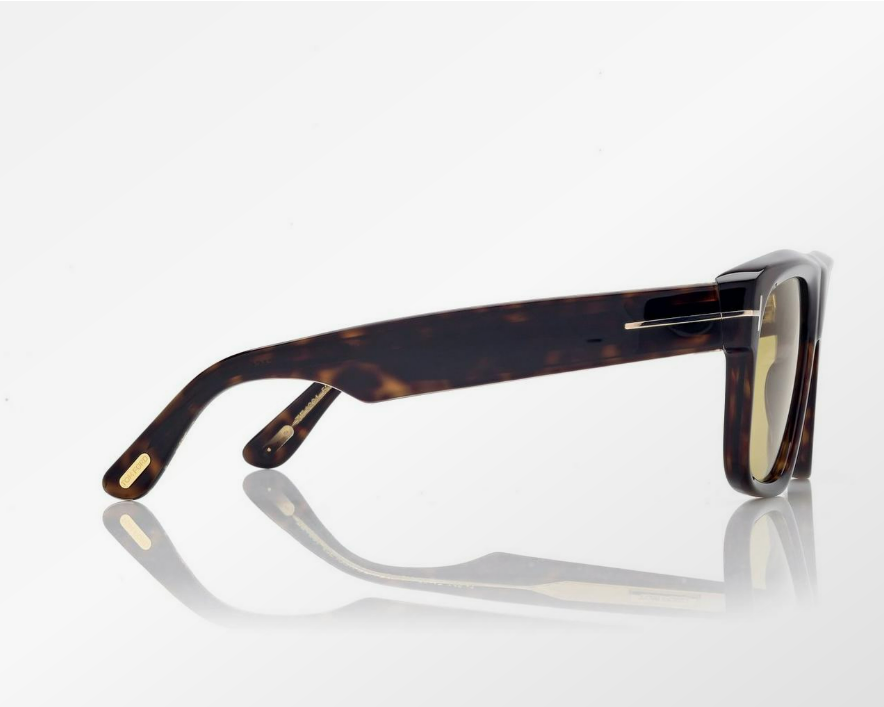 Tom Ford Icon Geometric Sunglasses