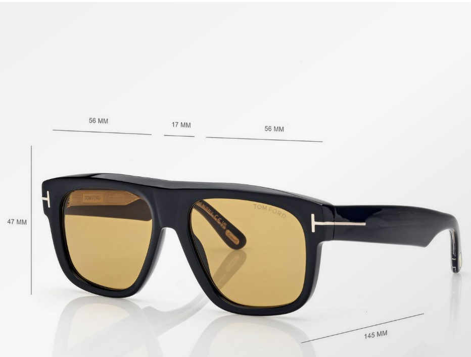 Tom Ford Icon Geometric Sunglasses