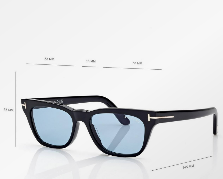 Tom Ford Penn Sunglasses