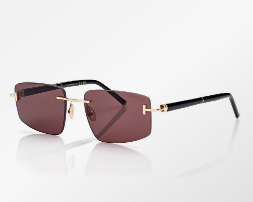 Tom Ford Square Titanium and Horn Sunglasses