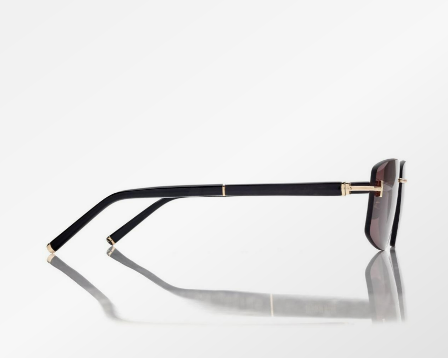 Tom Ford Square Titanium and Horn Sunglasses