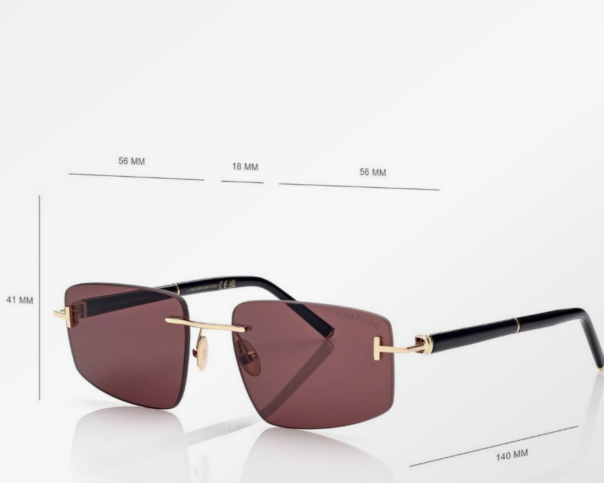 Tom Ford Square Titanium and Horn Sunglasses