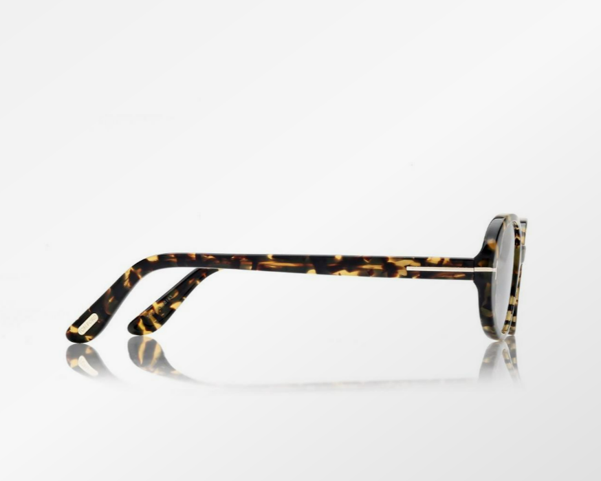 Tom Ford Iggy Sunglasses