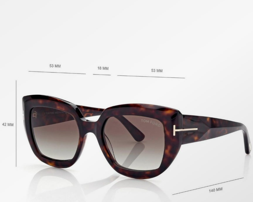 Tom Ford Saltzman Sunglasses