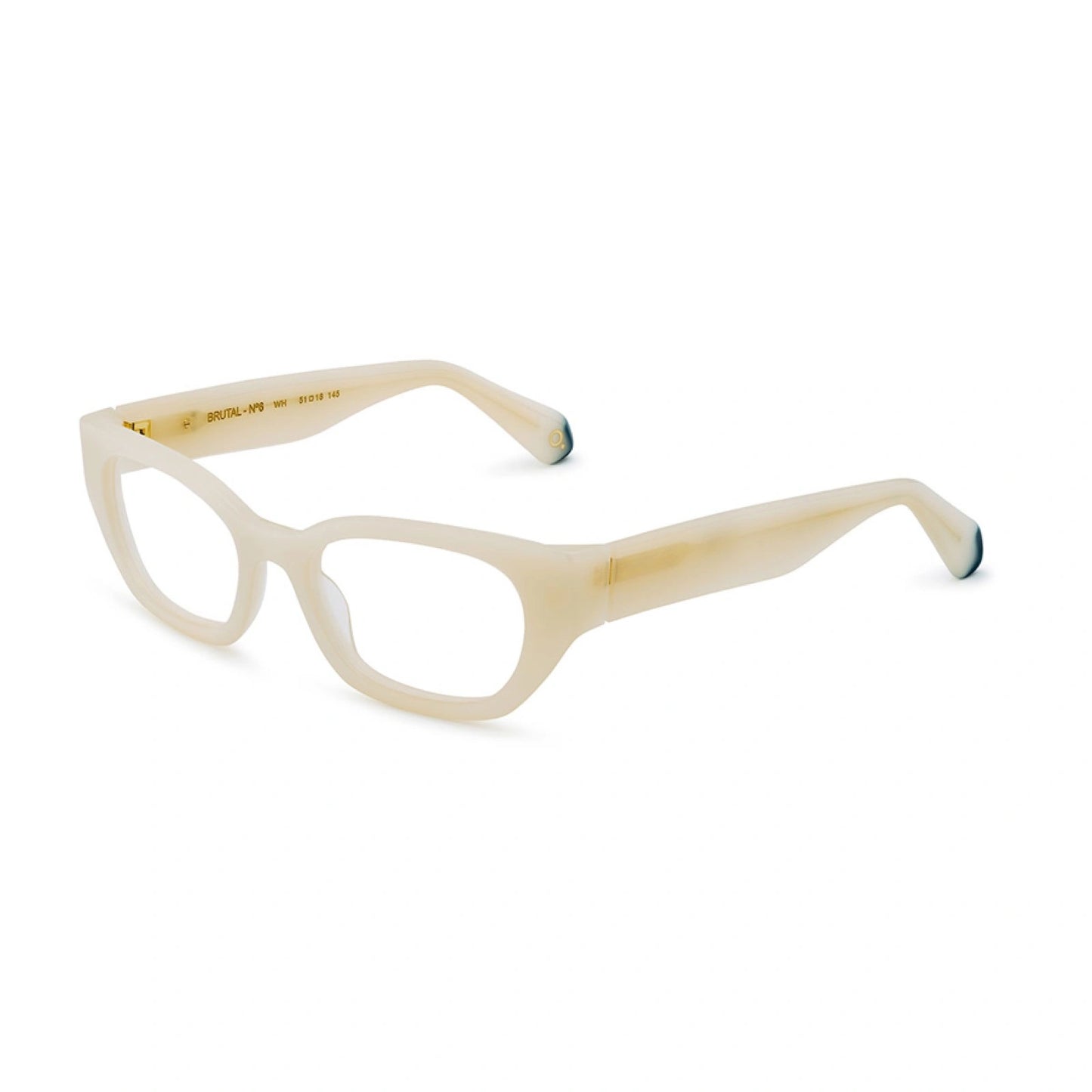 Etnia Barcelona BRUTAL No.6  Acetate Eyeglasses