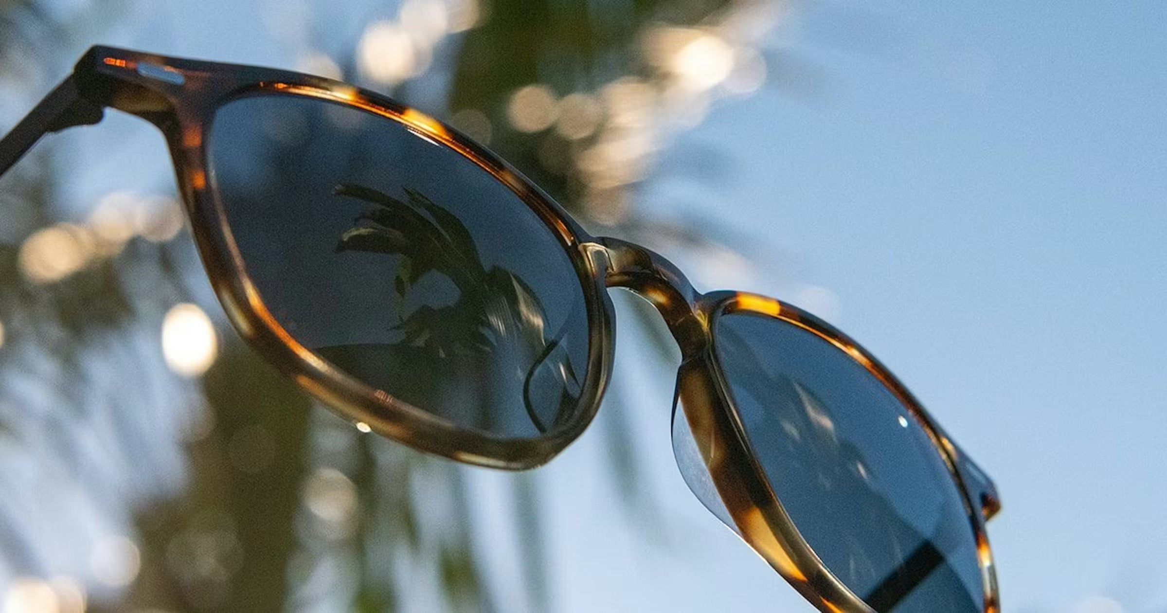 Nikon sun polarized lenses Vancouver