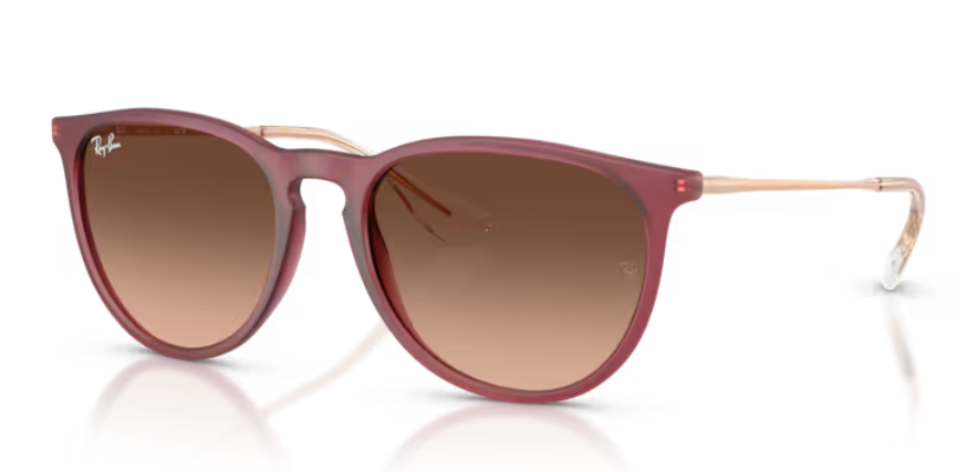 Ray Ban Erika Non-Polarized Sunglasses