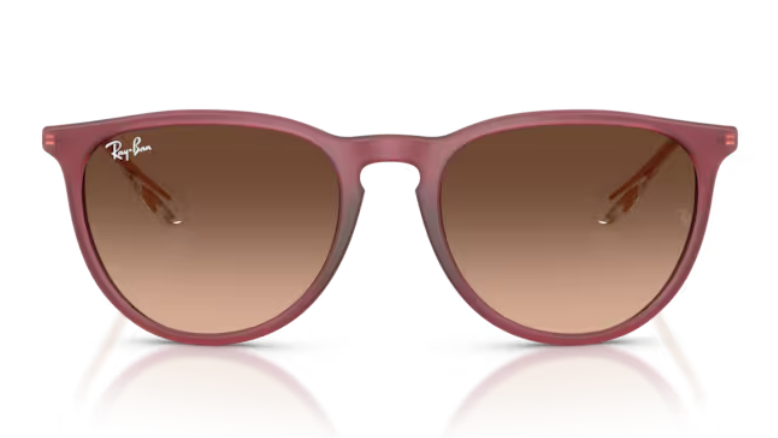 Ray Ban Erika Non-Polarized Sunglasses